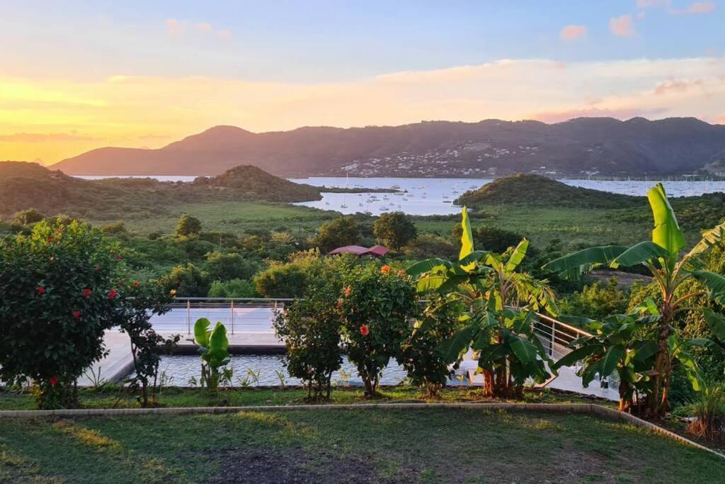 Bas De Villa Piscine Petit Versailles Sainte Anne Exteriér fotografie